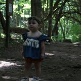 Wandering through the Forest