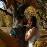 Through the Leaves